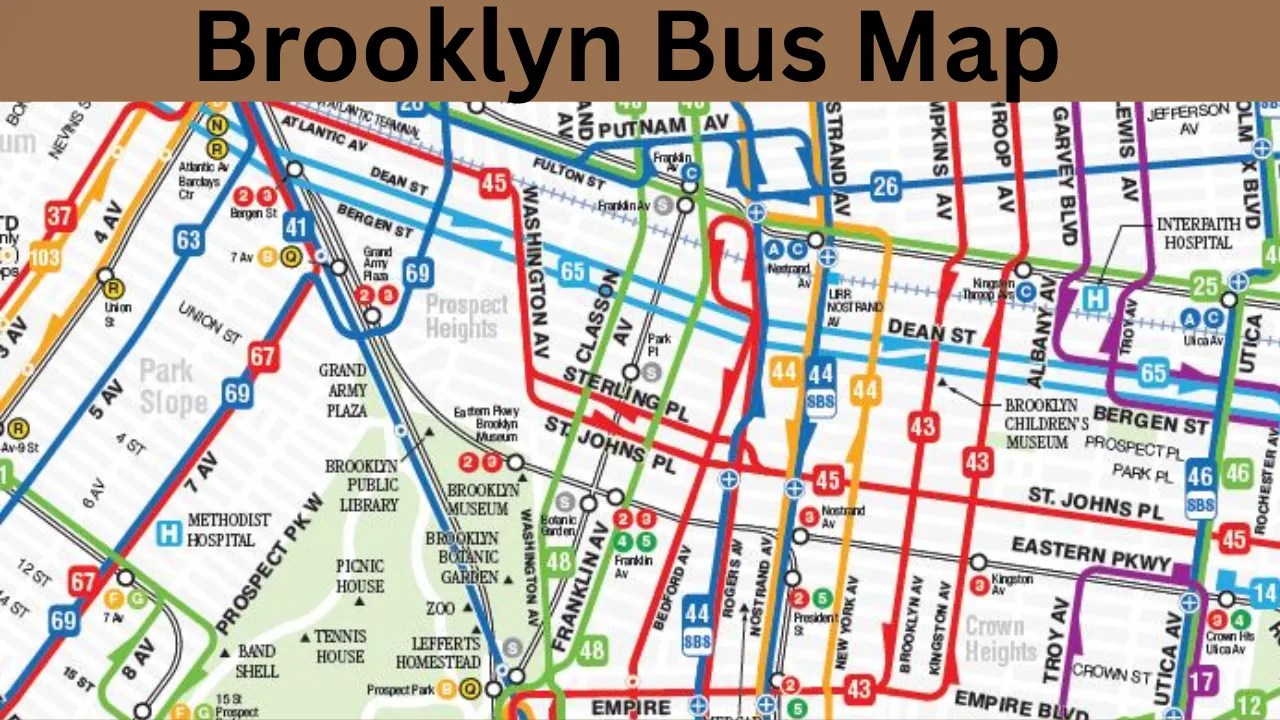 Brooklyn Bus Map Your Easy NYC Travel Guide