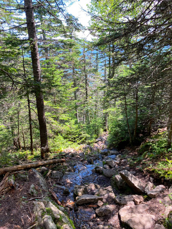Bigelow Mountain and Avery Peak Trekking Sketches