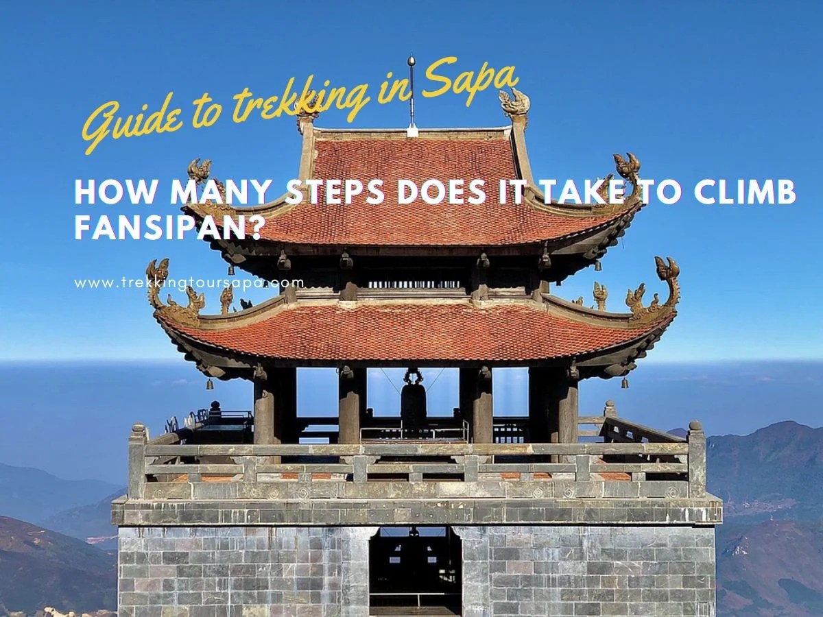 Scaling The Heights How Many Steps Does It Take To Climb Fansipan
