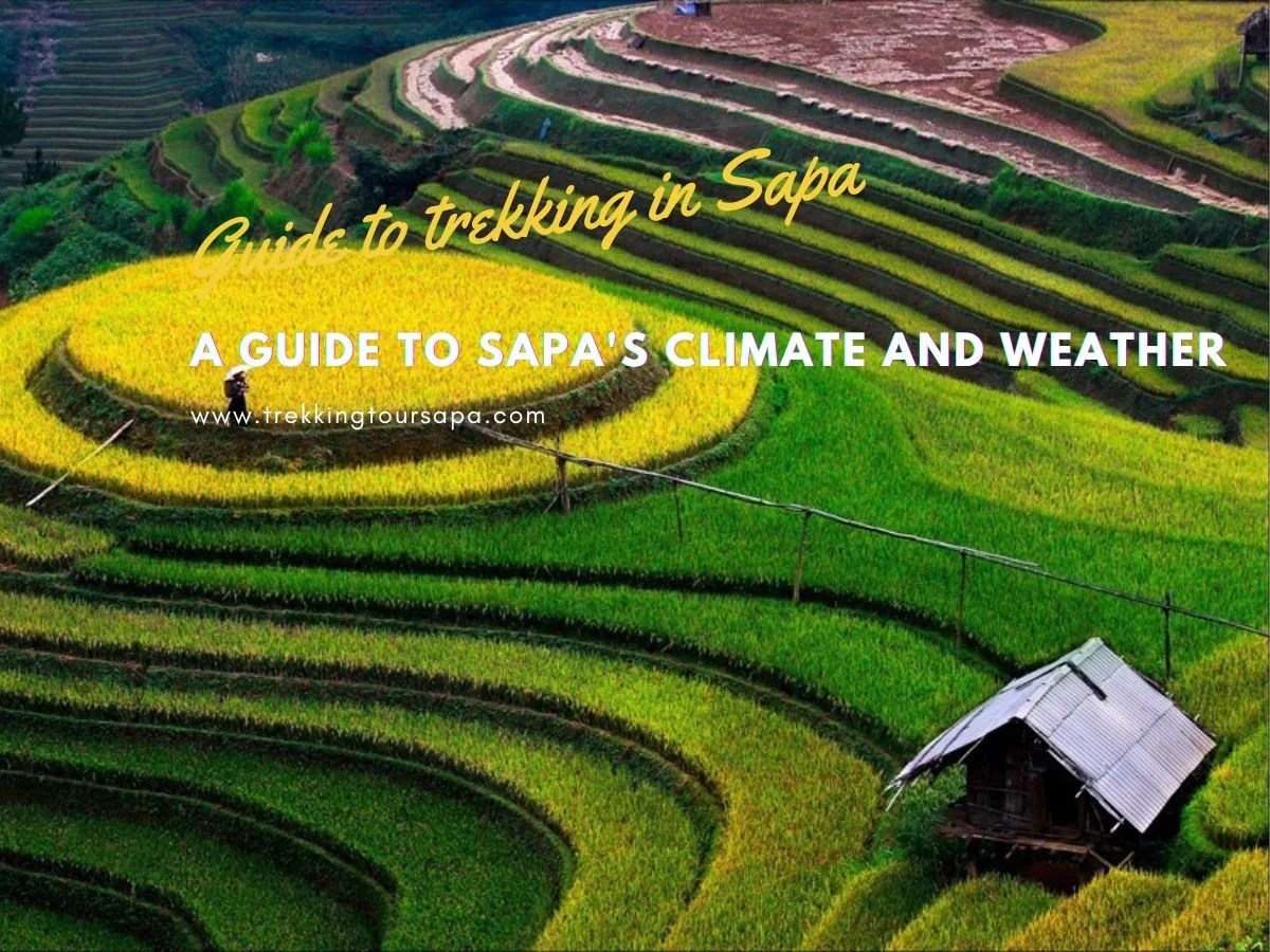 A Guide To Sapa's Climate And Weather What To Expect