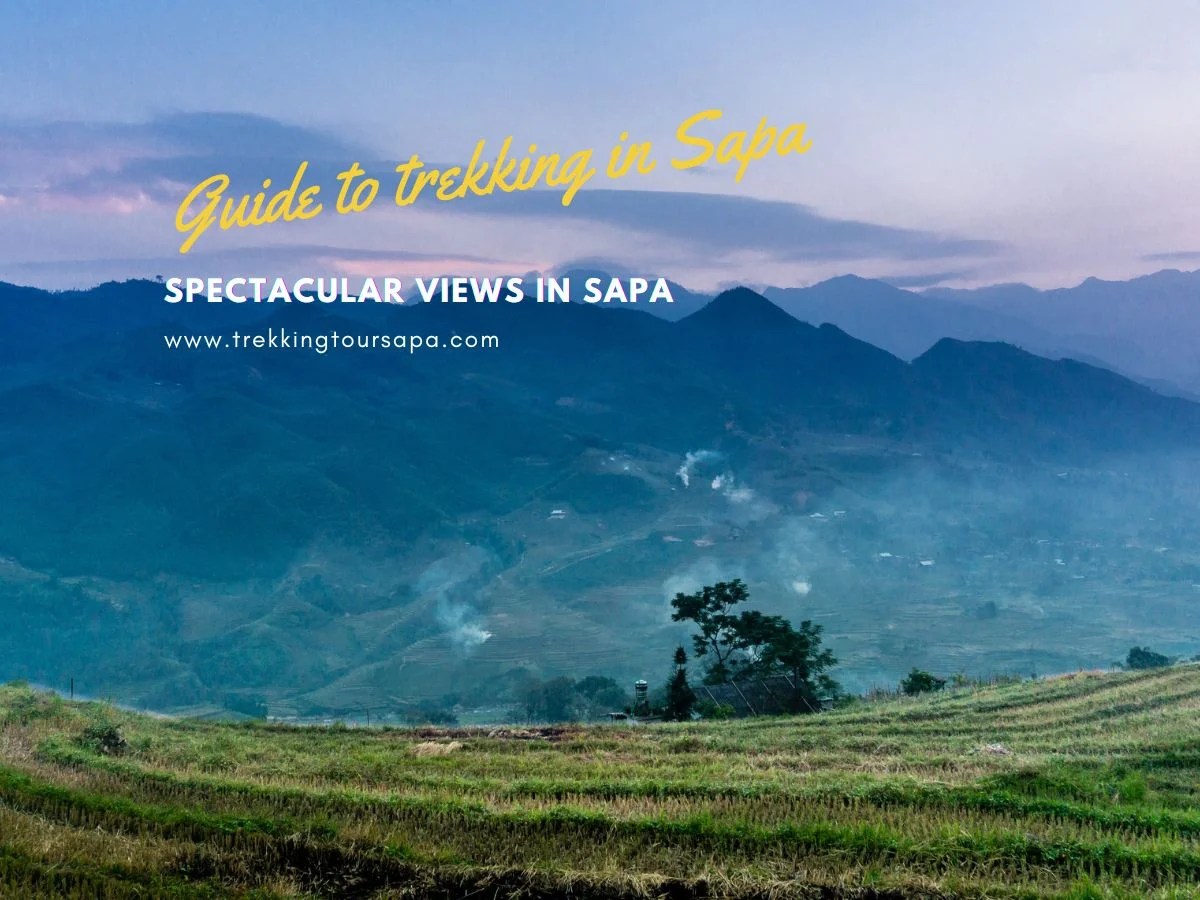 Nature's Majesty Spectacular Views In Sapa Revealed