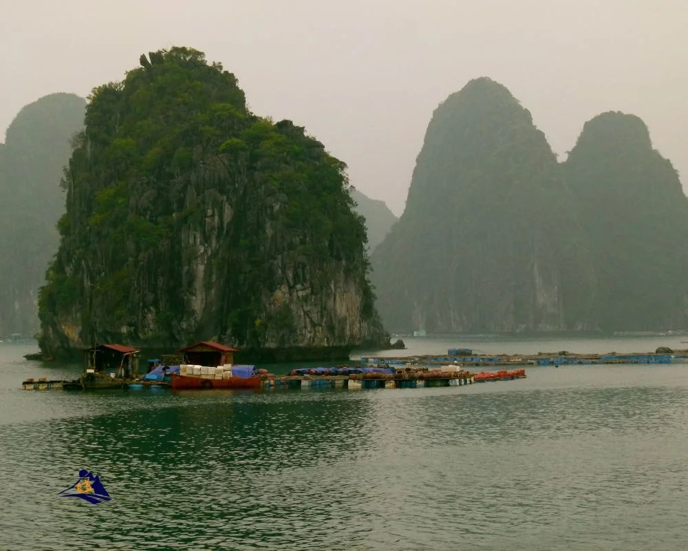 Experience Ha Long Bay Weather January With Us!