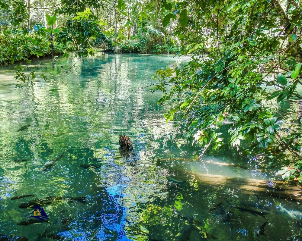 Explore Majestic Caves In Vietnam Nature's Wonders