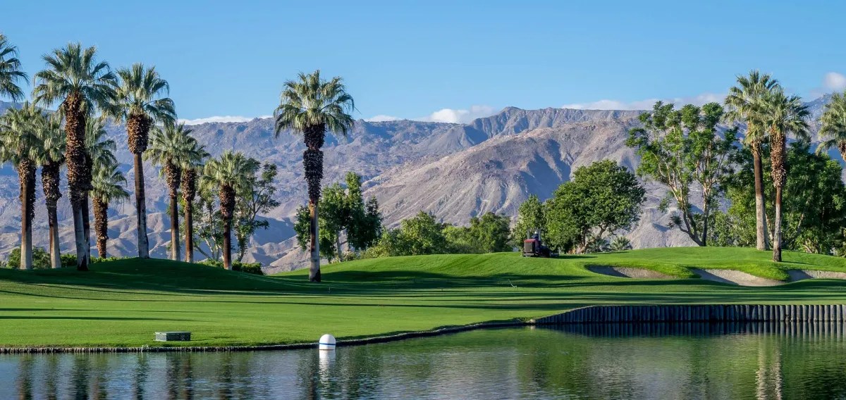 Palm Desert Movers TrekMovers Affordable Moving Company in Palm Desert