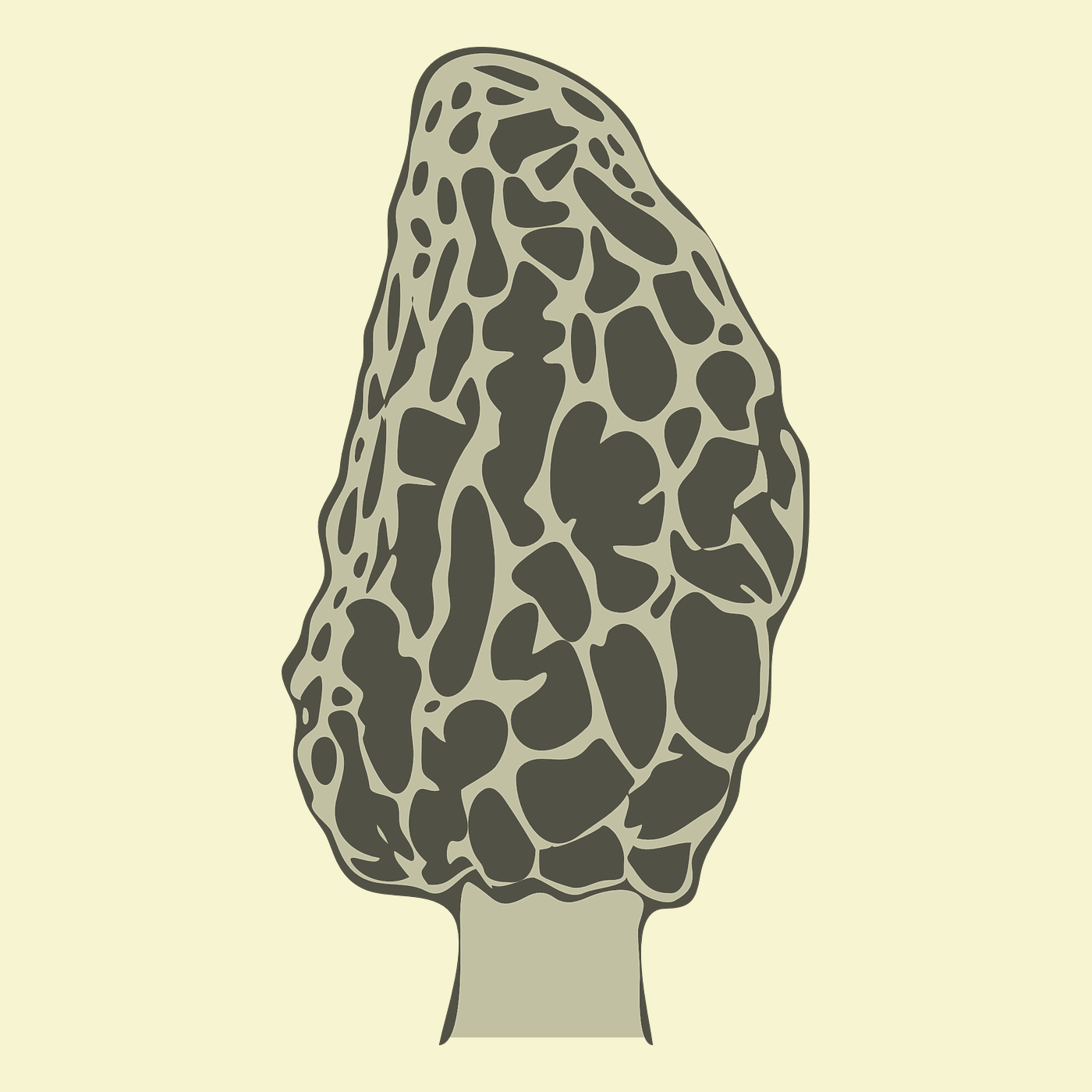 Foraging Morels TrekOhio