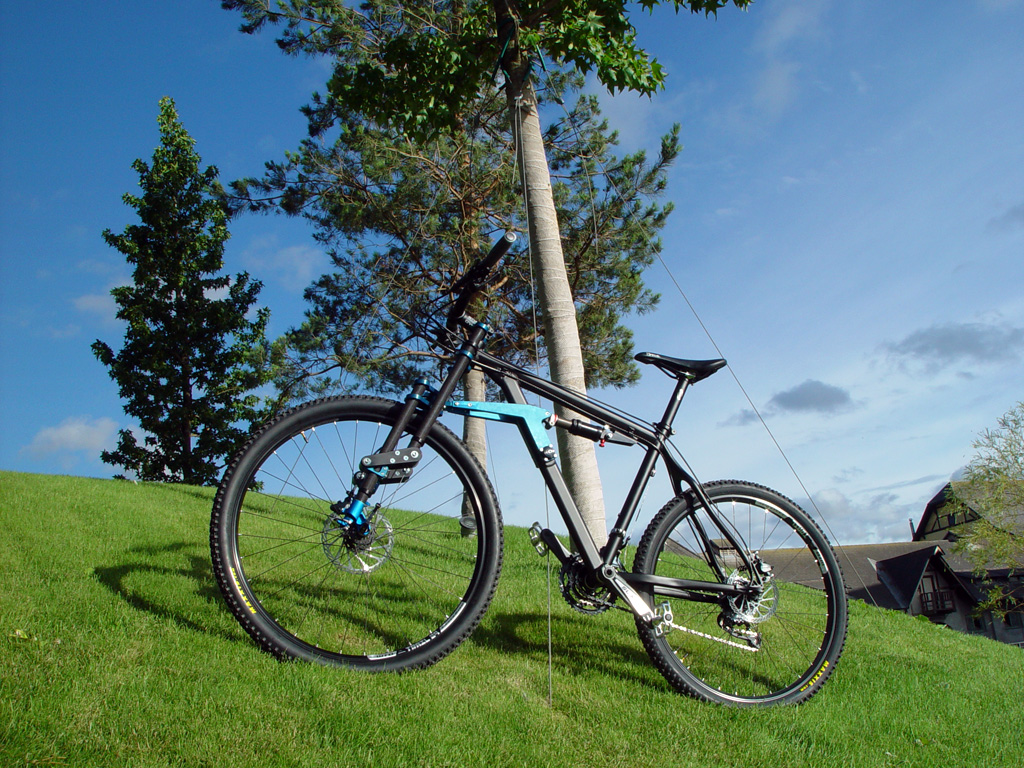 TRELEVER® Innovative Bike Suspension System