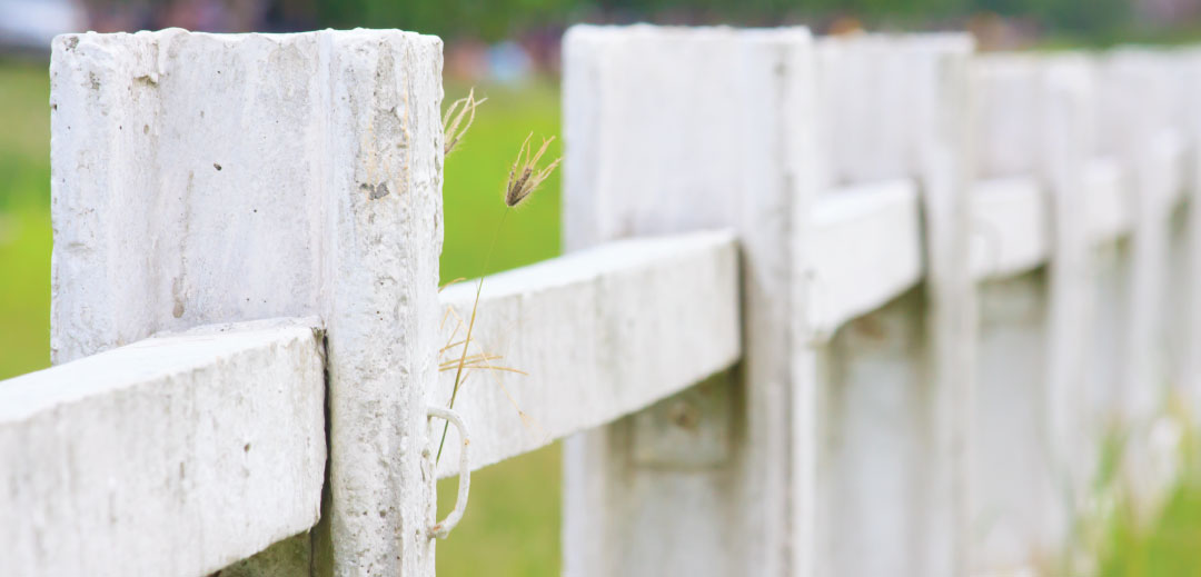 Auction Trellis Kentucky Derby Party