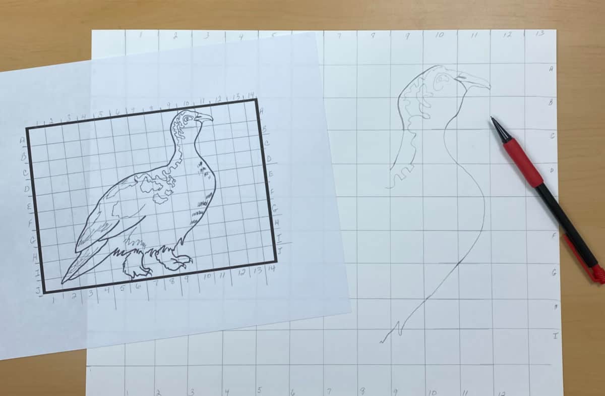 How To Enlarge A Picture To Trace at Tina Vosburgh blog