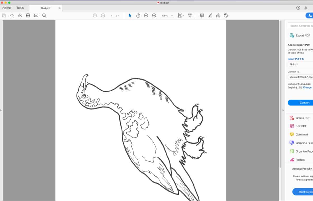 How to Enlarge a Picture to Paint Trembeling Art