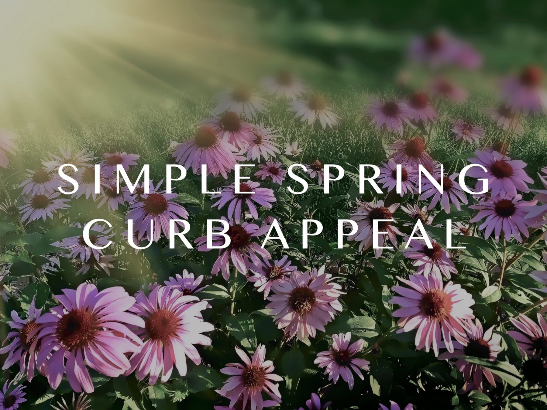 Simple Spring Curb Appeal Val Lemoine and The Real Estate Made Easy Group