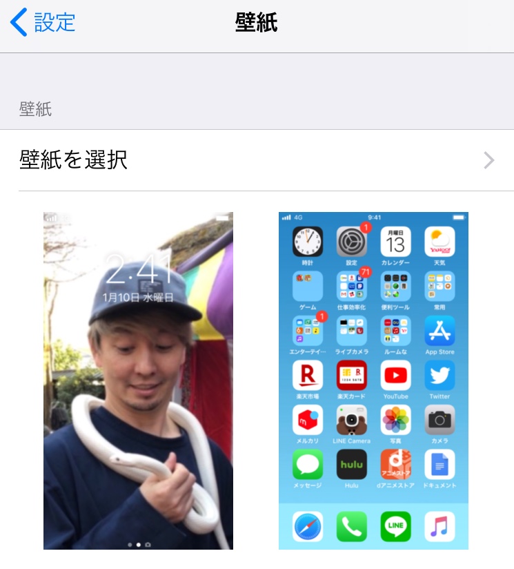 最高待ち受け 白蛇 壁紙 最高の花の画像