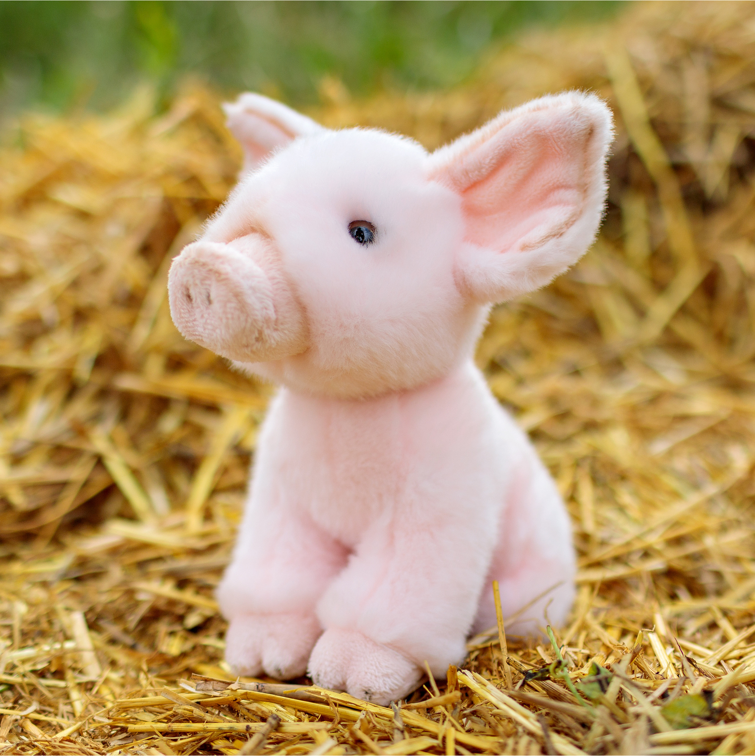 Lieblingstier = Schwein? Lustige SchweineArtikel und Geschenke auf trendaffe.de