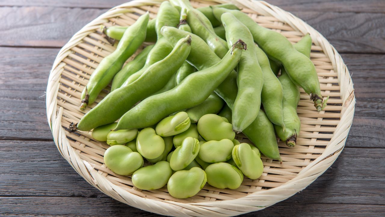 How to Cook Broad Beans A Guide for Beginners
