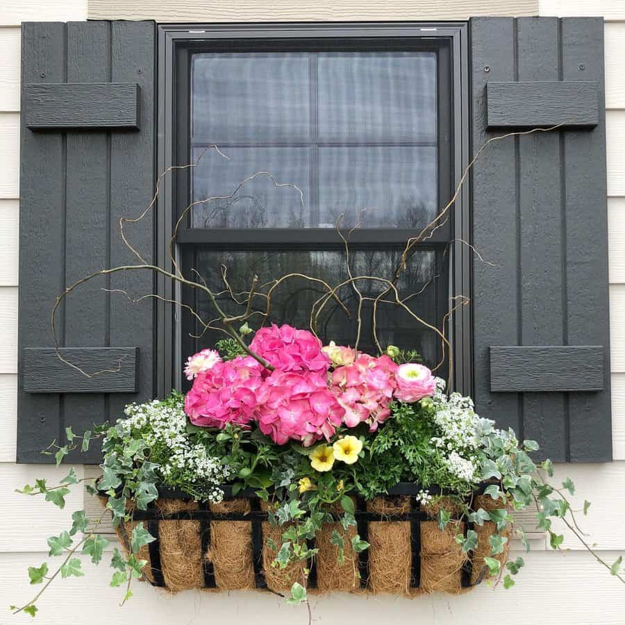 19 Window Box Ideas to Brighten Up Your Exterior Trendey