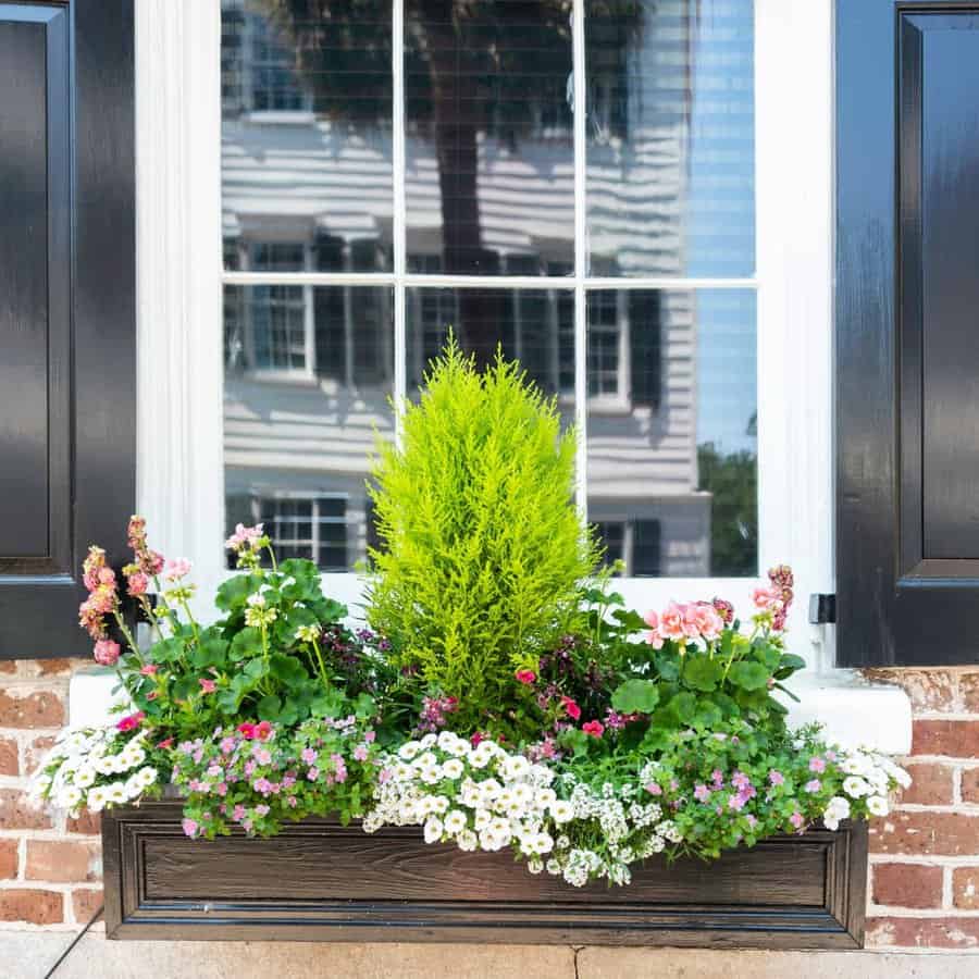 The Top 53 Window Box Ideas Trendey