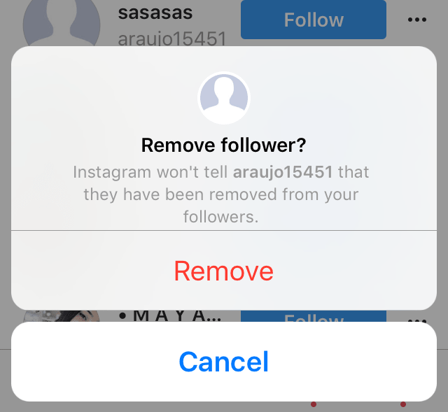 How to Remove Fake Followers on Instagram trendHERO