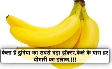 केला है दुनिया का सबसे बड़ा डॉक्टर केले के पास` हर बीमारी का इलाज जानिए विस्तार से