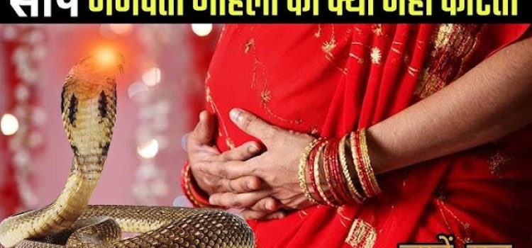 गर्भवती महिलाओं को क्यों नहीं काटते` सांप? विज्ञान ने खोज निकाला अनोखा राज कारण जान आप भी कहेंगे ‘अद्भुत!