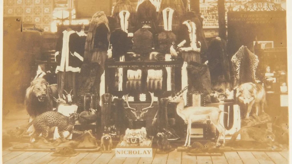 Top 7 Weird Practices of the Victorian Era Trending American