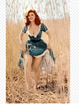 Louise Lasser's Age, Career, Family, Net Worth, Height Bio 2024.