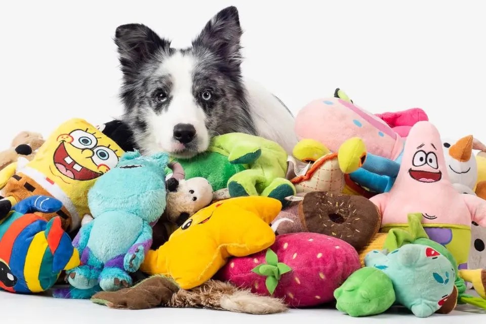 Interactive Dog Toys for Active Play Engaging Pet Toys