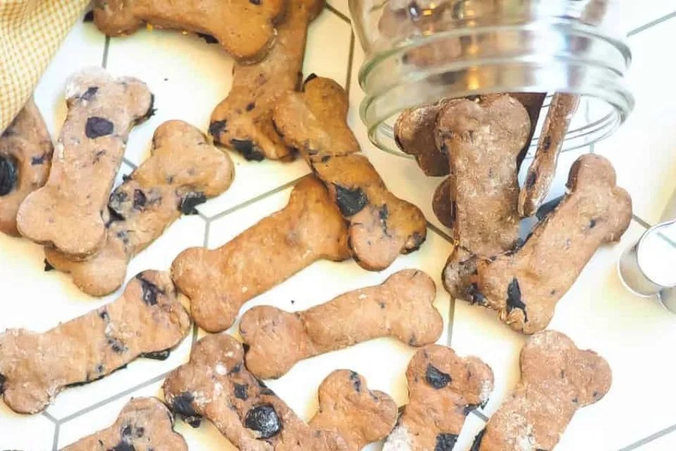 Healthy Snacks For Dogs Wholesome and Delicious