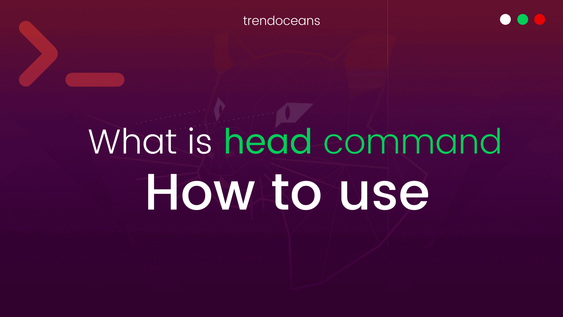 How to use head command in Linux with Example TREND OCEANS