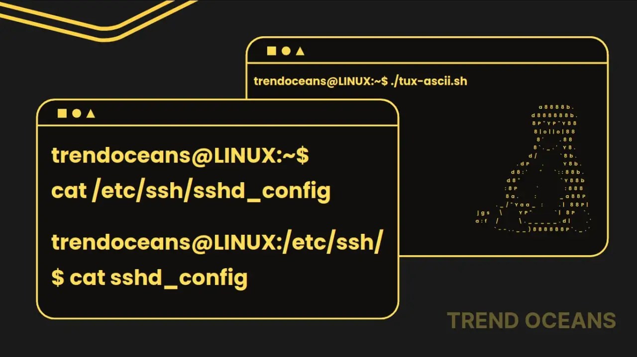 What are the Absolute and Relative paths, and why do we use them