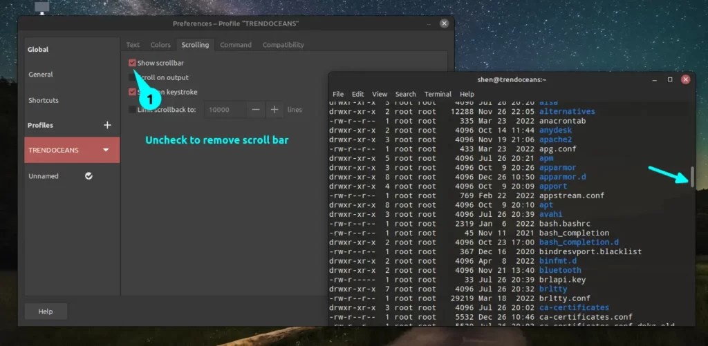 Learn how to Customise the Linux terminal to make it look awe! TREND