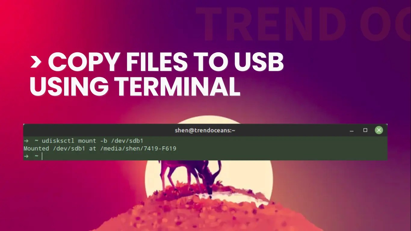 How to Copy Files to a USB Flash Drive Using the Terminal [TTY] TREND