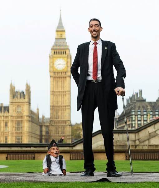 10 Most Tallest Mens In The World Trendpickle