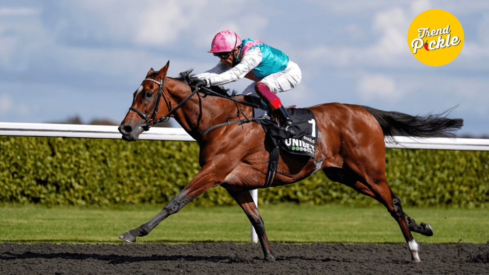 Big Horse Racing Events 2024 Rules and Regulations at The Biggest Racing Events Trendpickle