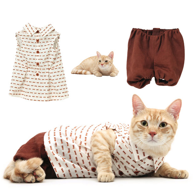 Because Your Cat Needs Designer Clothing, Too (And Maybe A Tipi