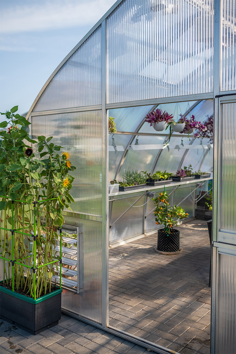 Greenhouses Reimagined Meet Joshua & Audrey Cook of 46 North