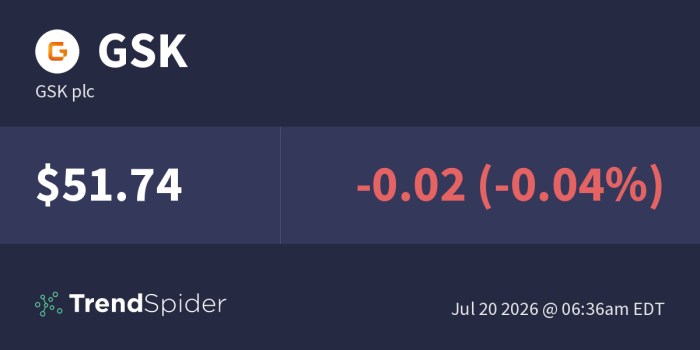 Gsk net worth