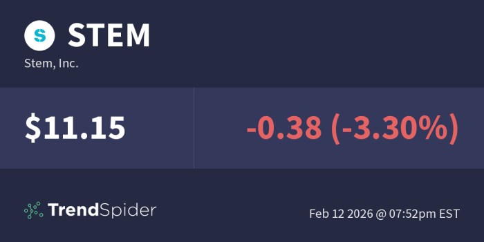 STEM (Stem, Inc.) – Technical Charts and Market Data – TrendSpider
