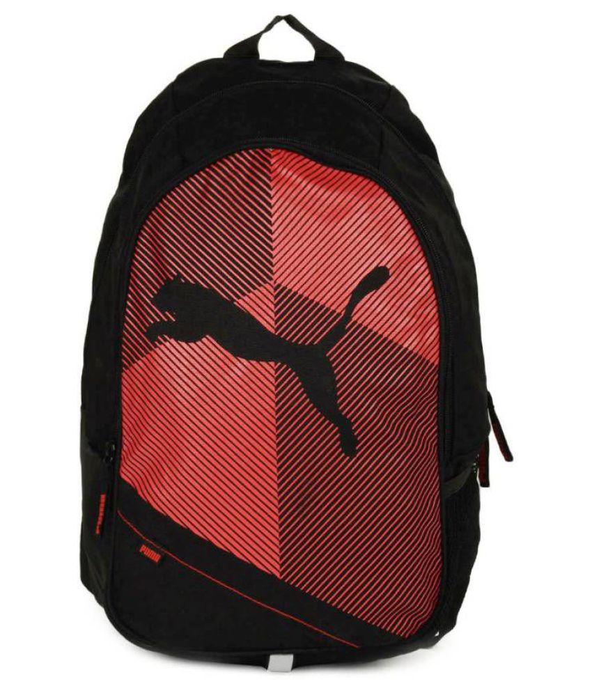 Top 15 School Bag Brands In India Trends We