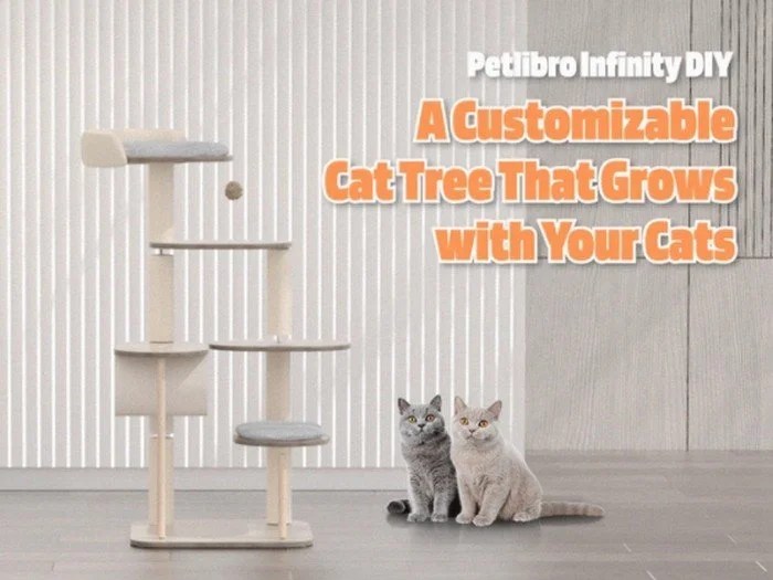 L'arbre à chat modulaire Petlibro Infinity peut être adapté à la