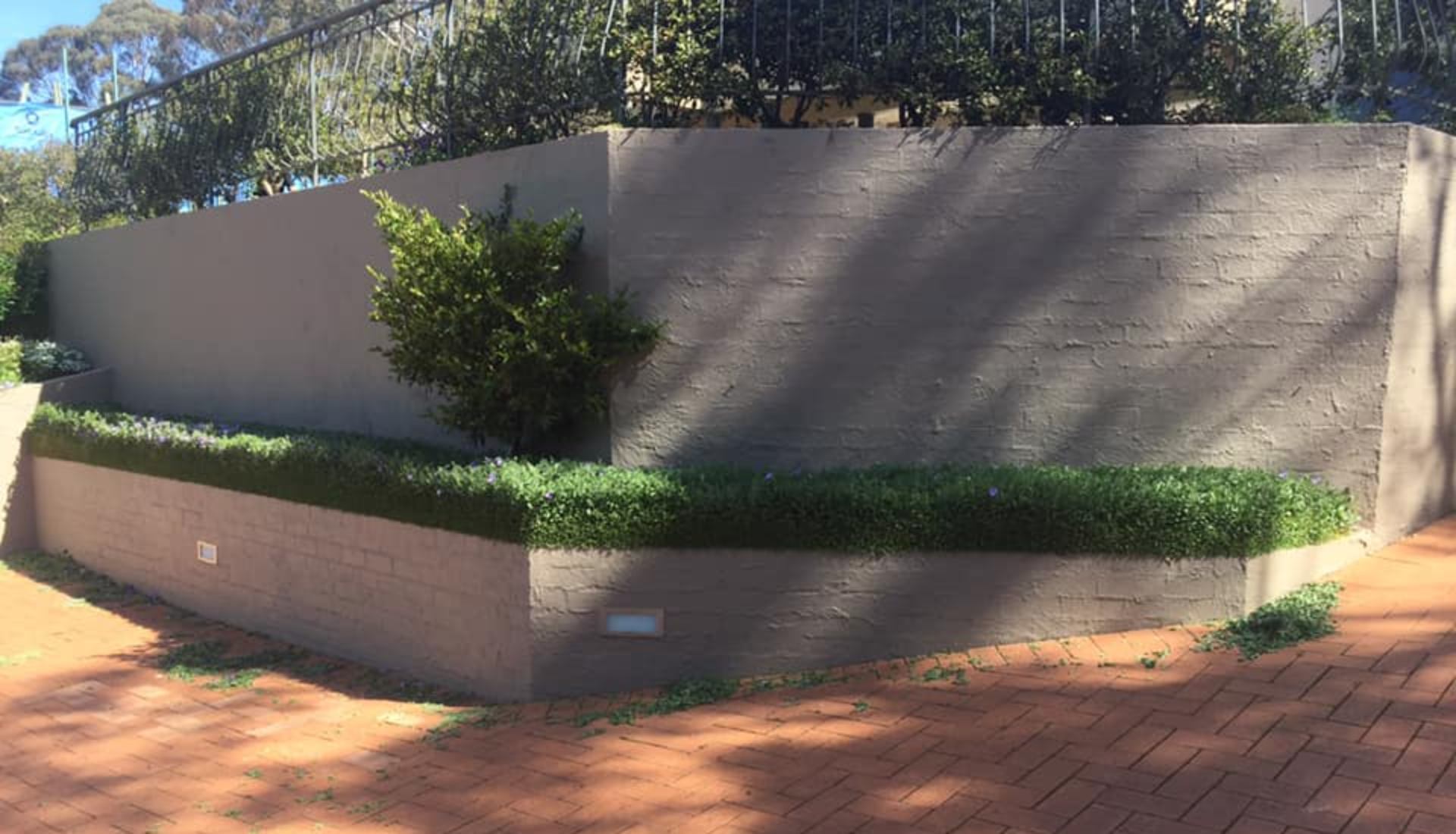 Acreage/Grounds Mowing Canberra TRENDY GARDENS