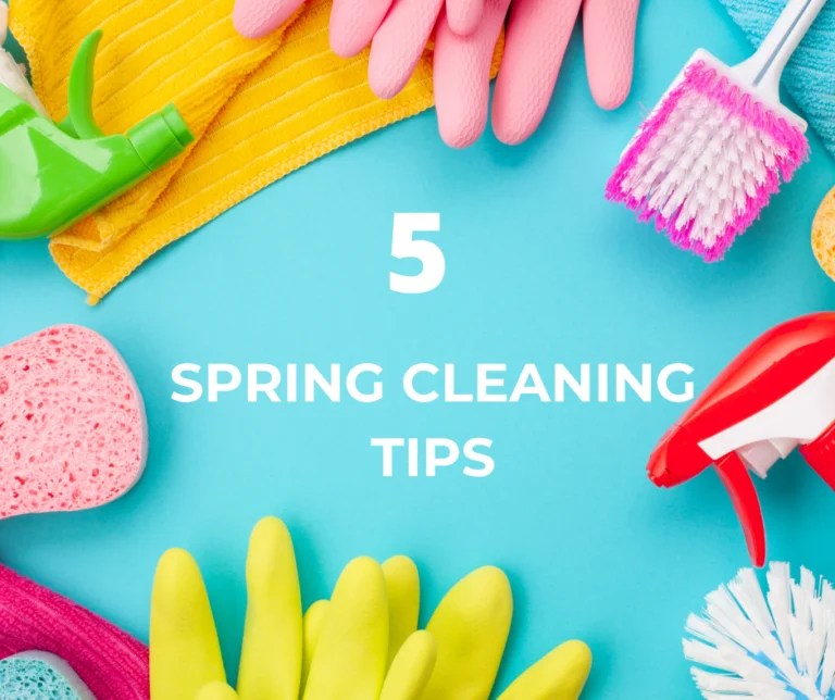 5 Spring Cleaning Tips Trendy Latina