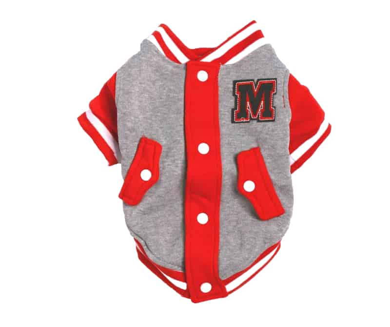 Varsity Dog Jacket Trendy Pup