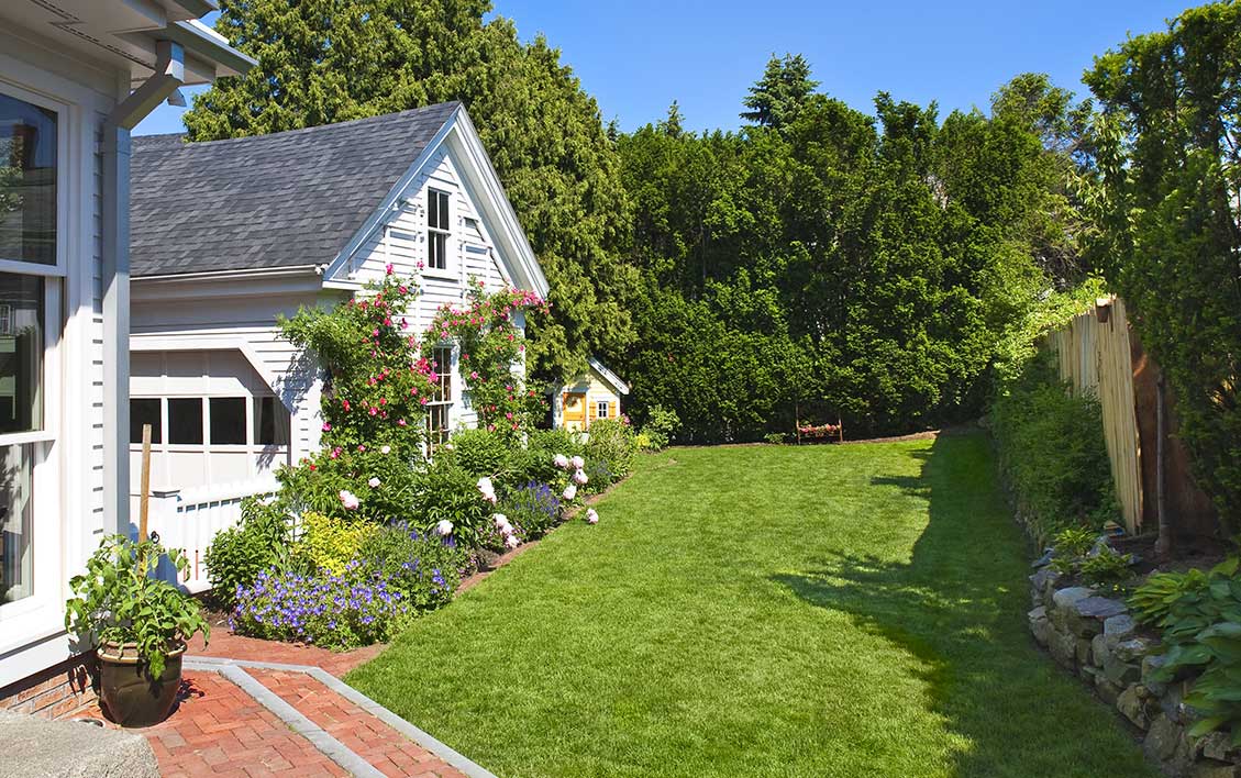 TRENT LLOYD LANDSCAPE DESIGN Fair Street