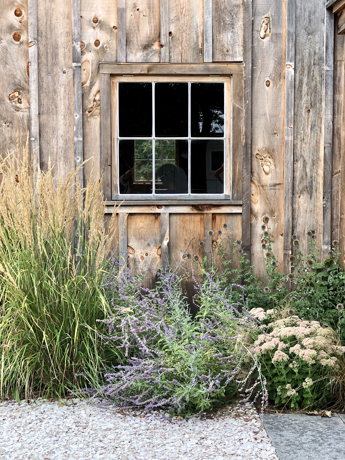 TRENT LLOYD LANDSCAPE DESIGN Choate Street