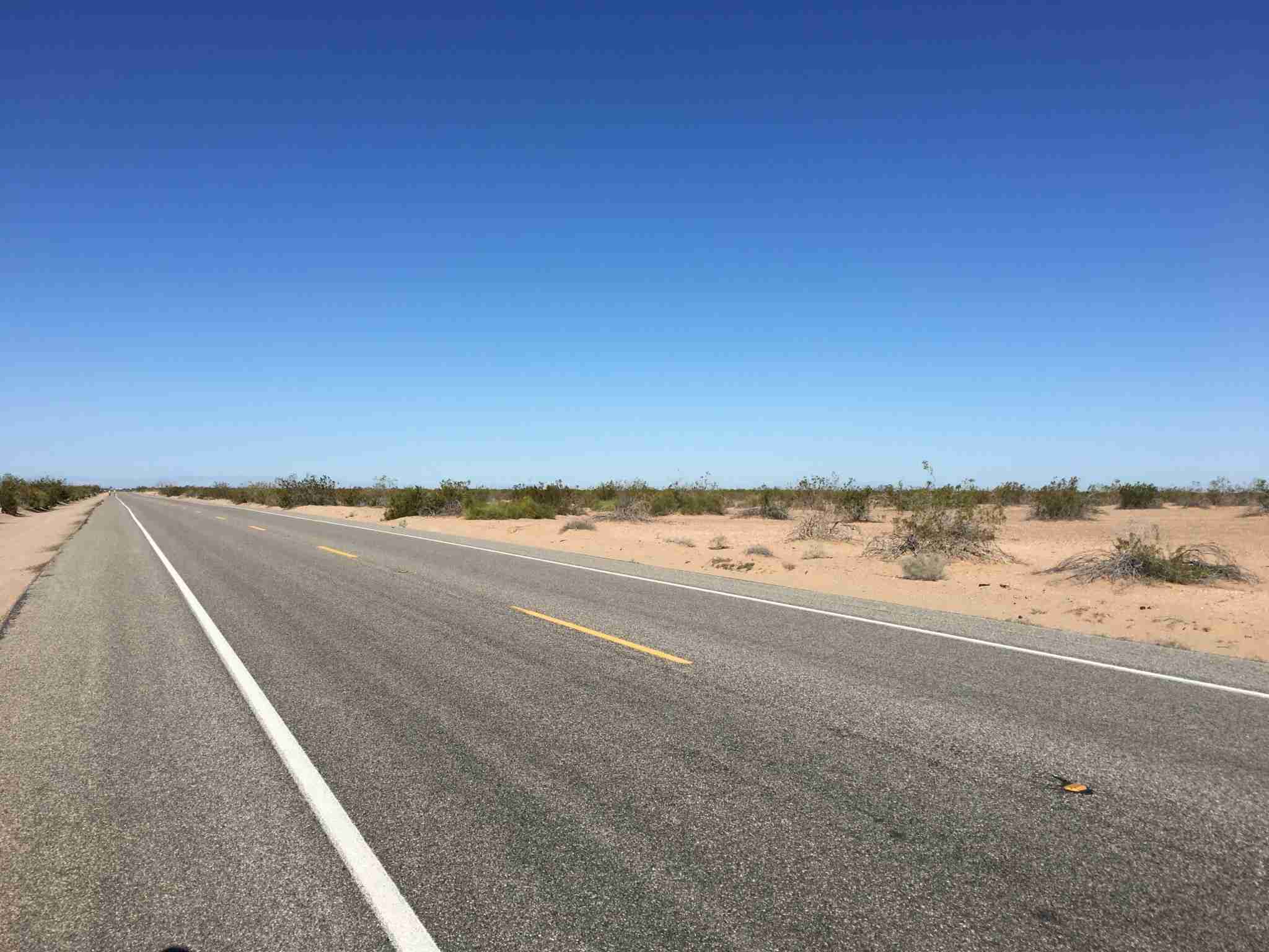 Day 4 Calexico, California to Yuma, Arizona 64 miles Tres Goes Riding