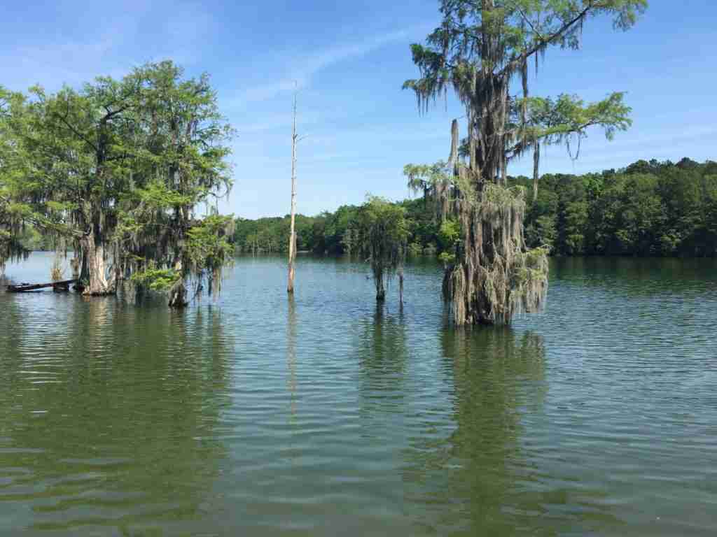 Day 46 DeFuniak Springs to Marianna, Florida 69 miles Tres Goes Riding