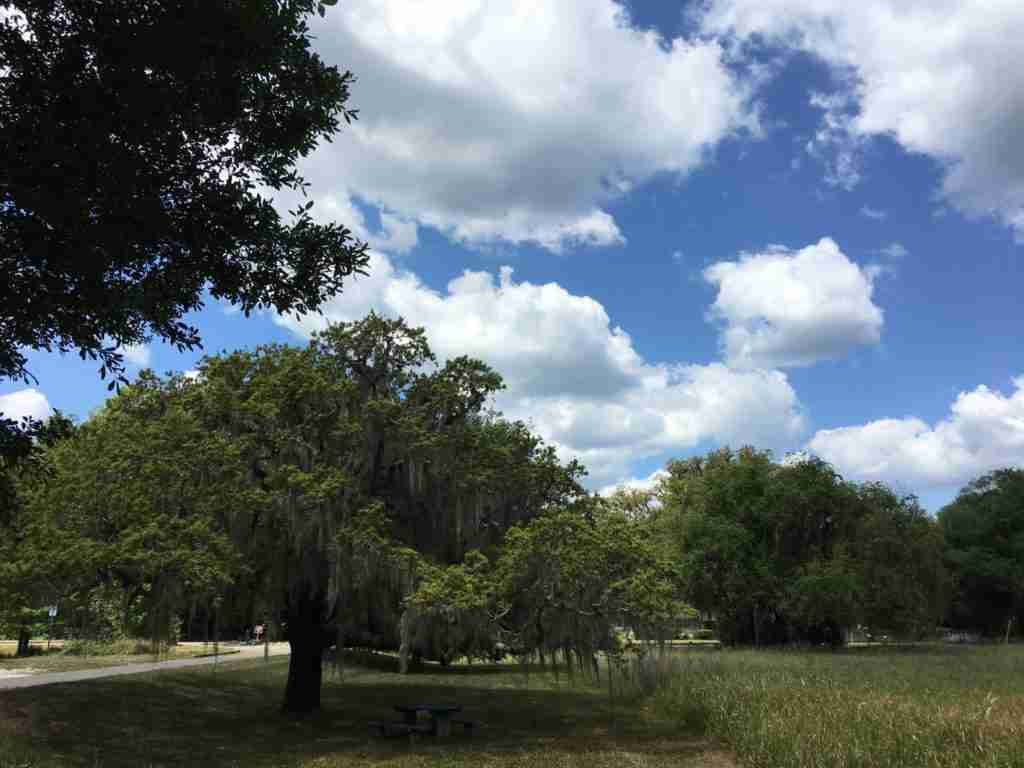 Day 51 High Springs to Palatka, Florida 85 miles Tres