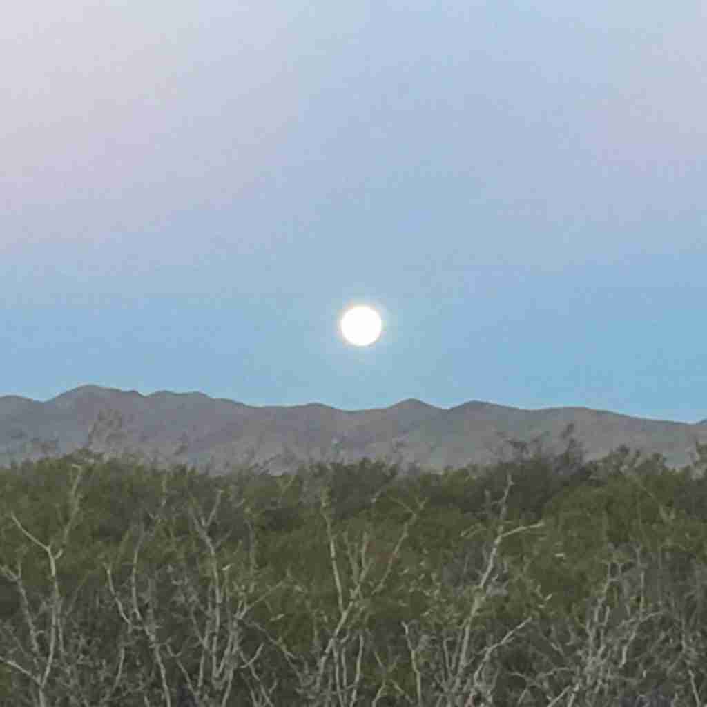 Day 19 Van Horn to Marfa, Texas 75 miles Tres Goes Riding