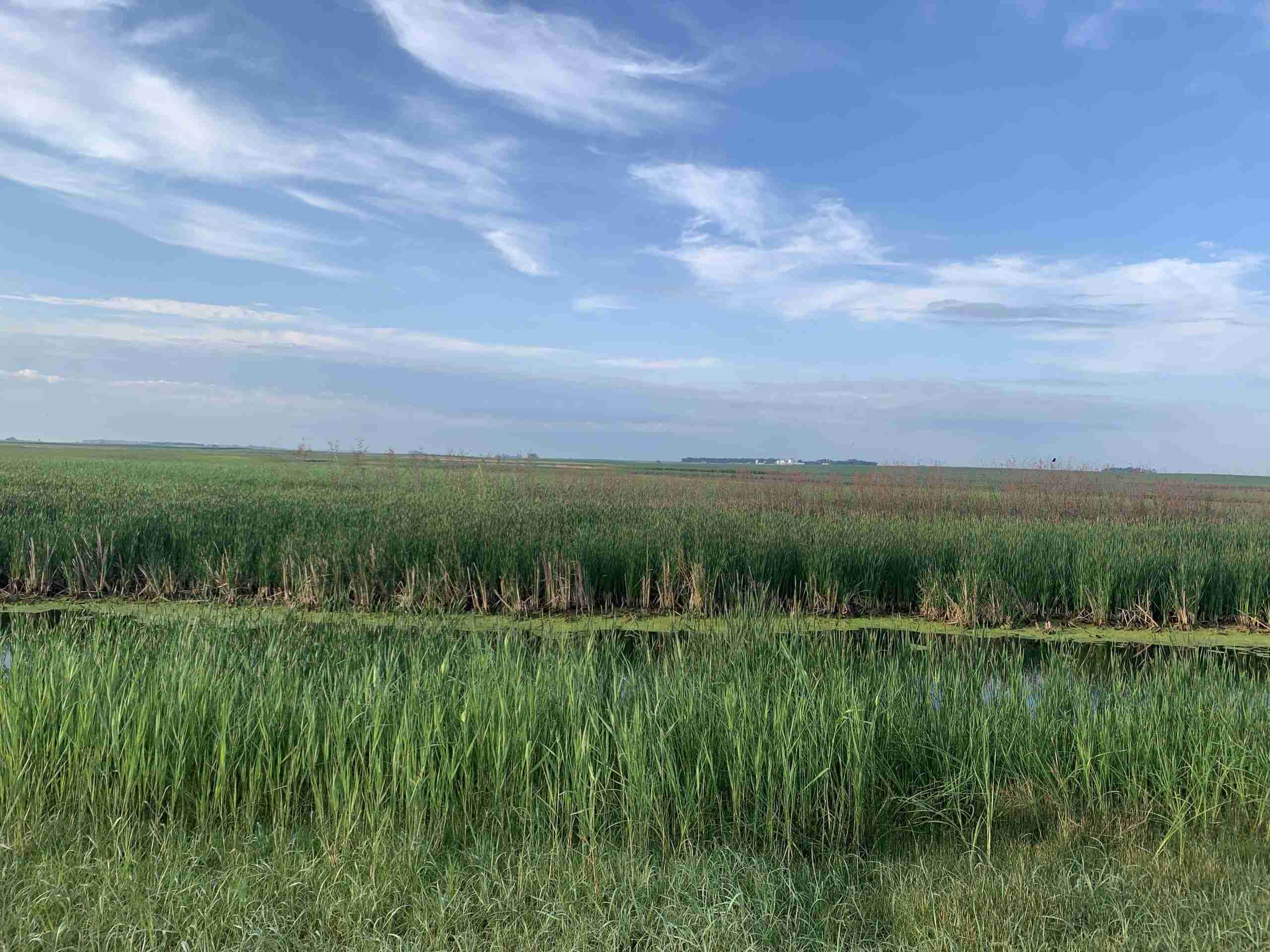 Day 32Jamestown to Enderlin, ND71.8 miles with 1023 feet of elevation