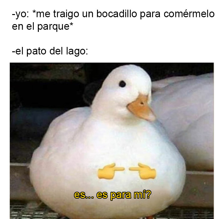 Dichosos patos comunistas