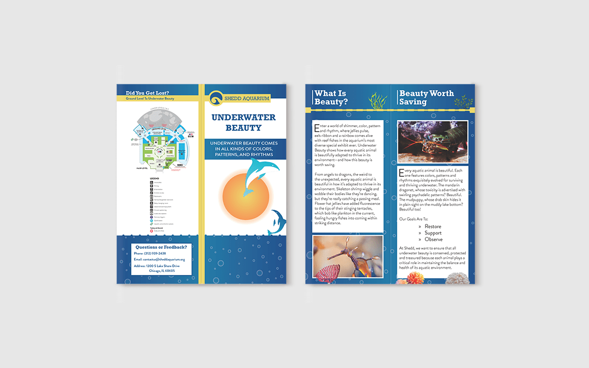 Shedd Aquarium Package